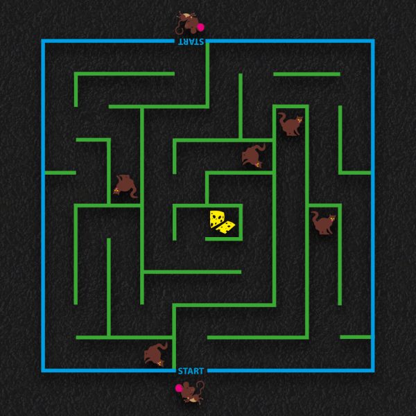 Cat and Mouse Maze 600x600 - Cat & Mouse Maze